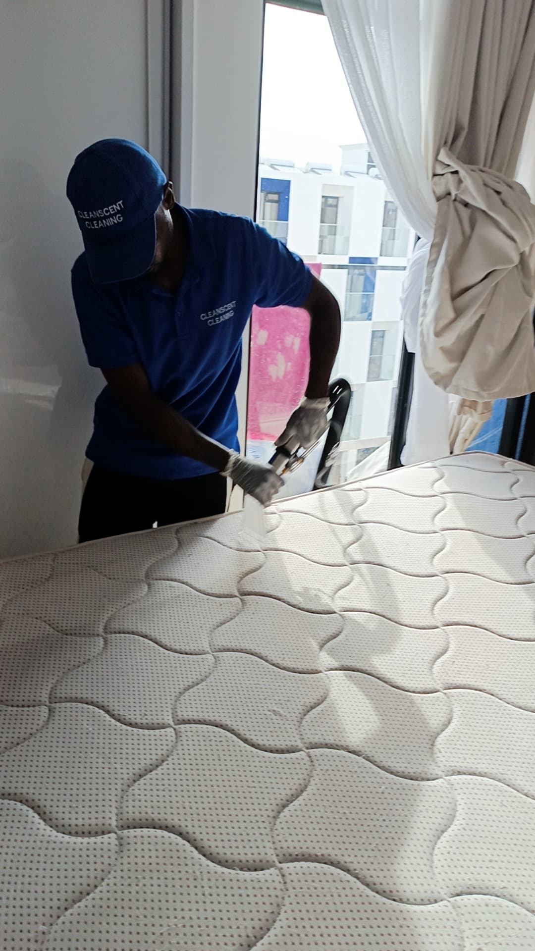 Mattress Cleaning 101: Why Dust Mites Are Hiding in Your Bed