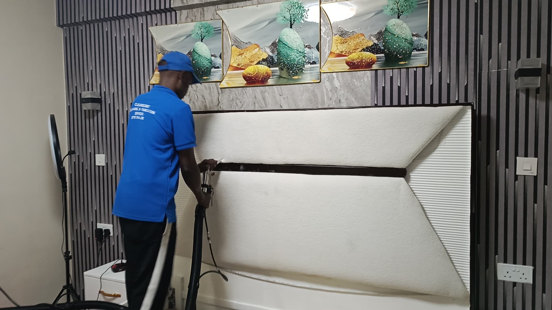 Mattress/bed deep cleaning